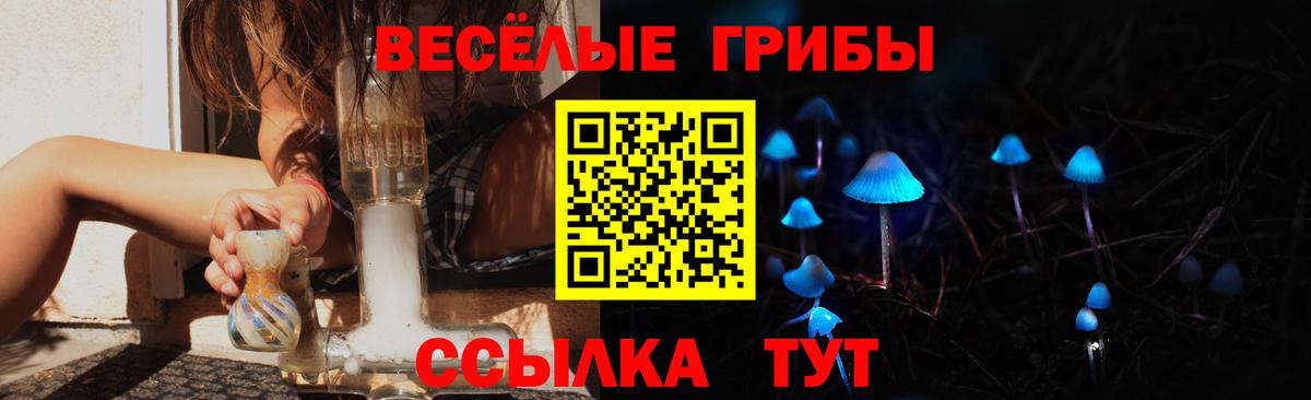 Галлюциногенные грибы Magic Shrooms Каменск-Шахтинский
